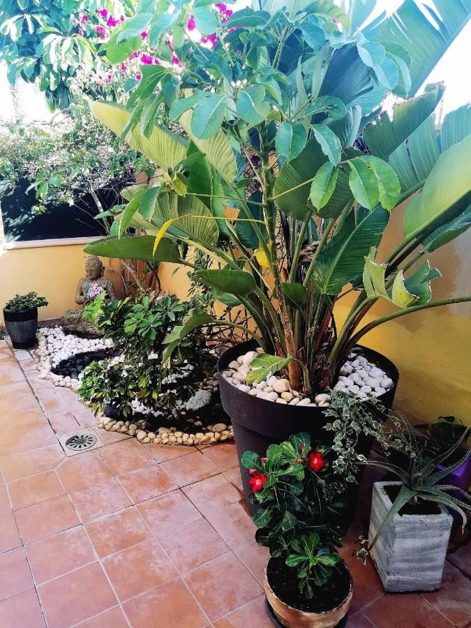 Vivienda Vacacional Vaiana Las Rosas  Bagian luar foto